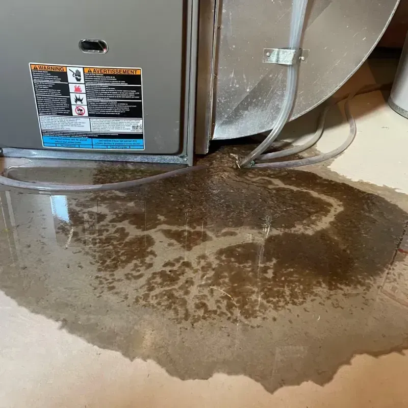 Appliance Leak Cleanup in Robinson, TX